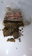 Low-res preview