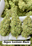 Low-res preview