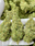 Low-res preview