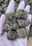 Low-res preview