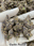Low-res preview
