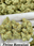 Low-res preview
