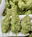 Low-res preview