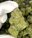Low-res preview