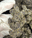 Low-res preview