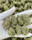 Low-res preview