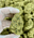 Low-res preview